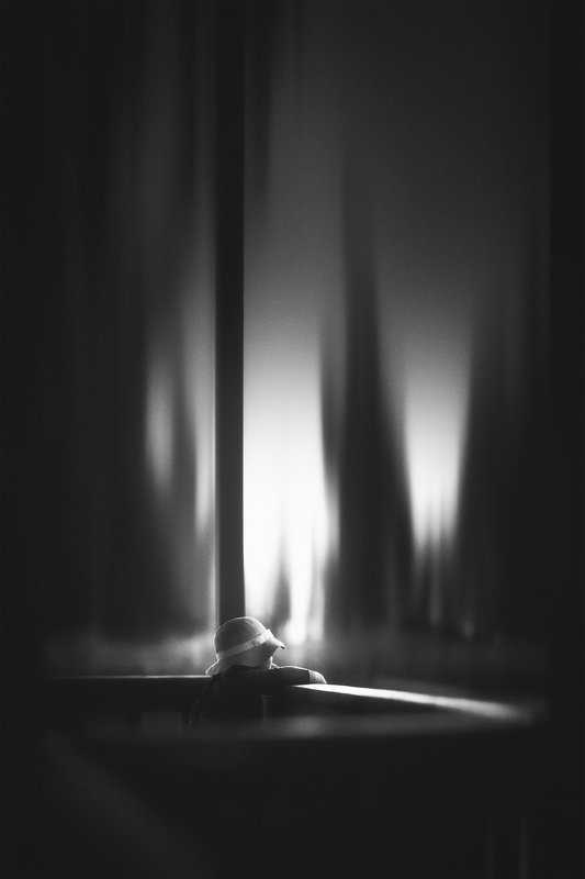 Delphiephoto preview