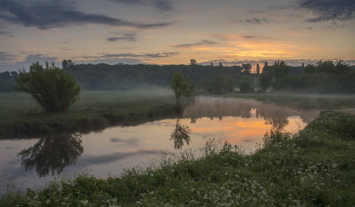 Утро в конце мая.... Автор: Сергей Добровольский , Сергей Добровольский