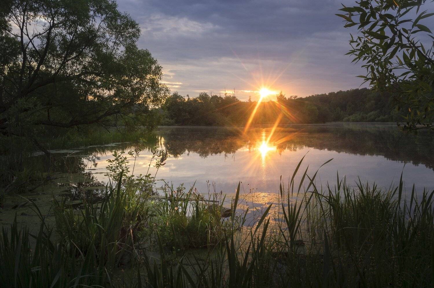 Рассвет на старице Москва-реки. Автор: Александр Кыров утро, рассвет, пейзаж, московская область, Александр Кыров