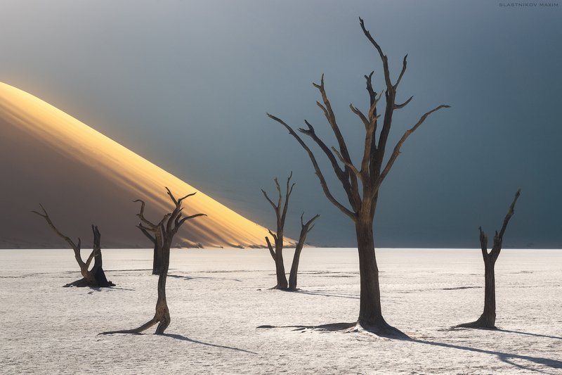 Namibia, desert, sand, dunes, sun, light, trees, explore, travel, outdoor, Africa, horizon, пустыня, путешествия, Африка, песок, дюны, солнце, деревья, озеро, долина, закат, горизонт Hands of the Desertphoto preview