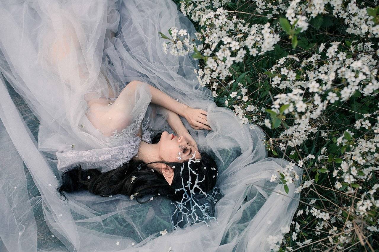 Автор: Александра Савенкова , Александра Савенкова