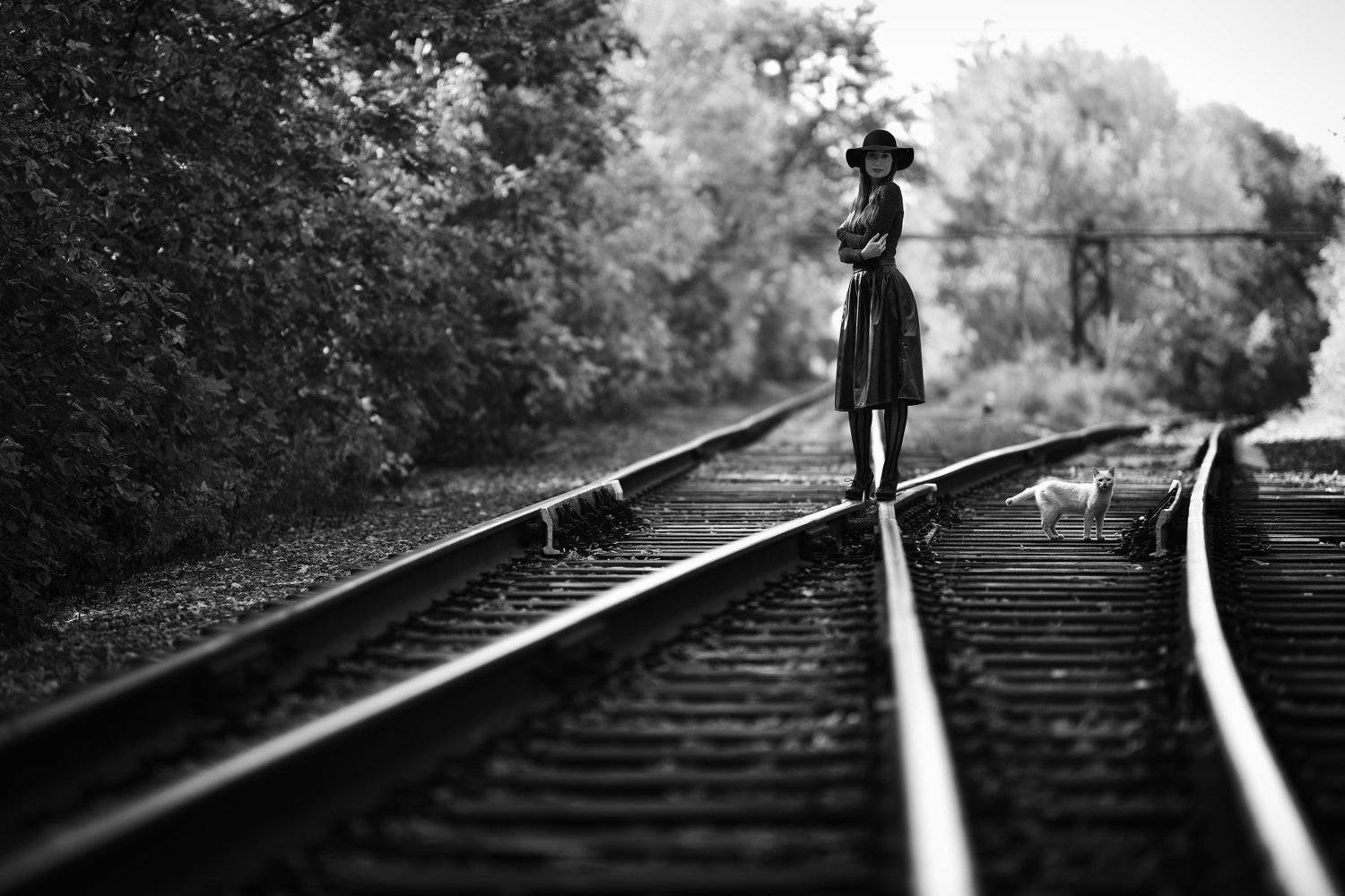 Неожиданная встреча. Автор: Сергей Кобылько , Сергей Кобылько