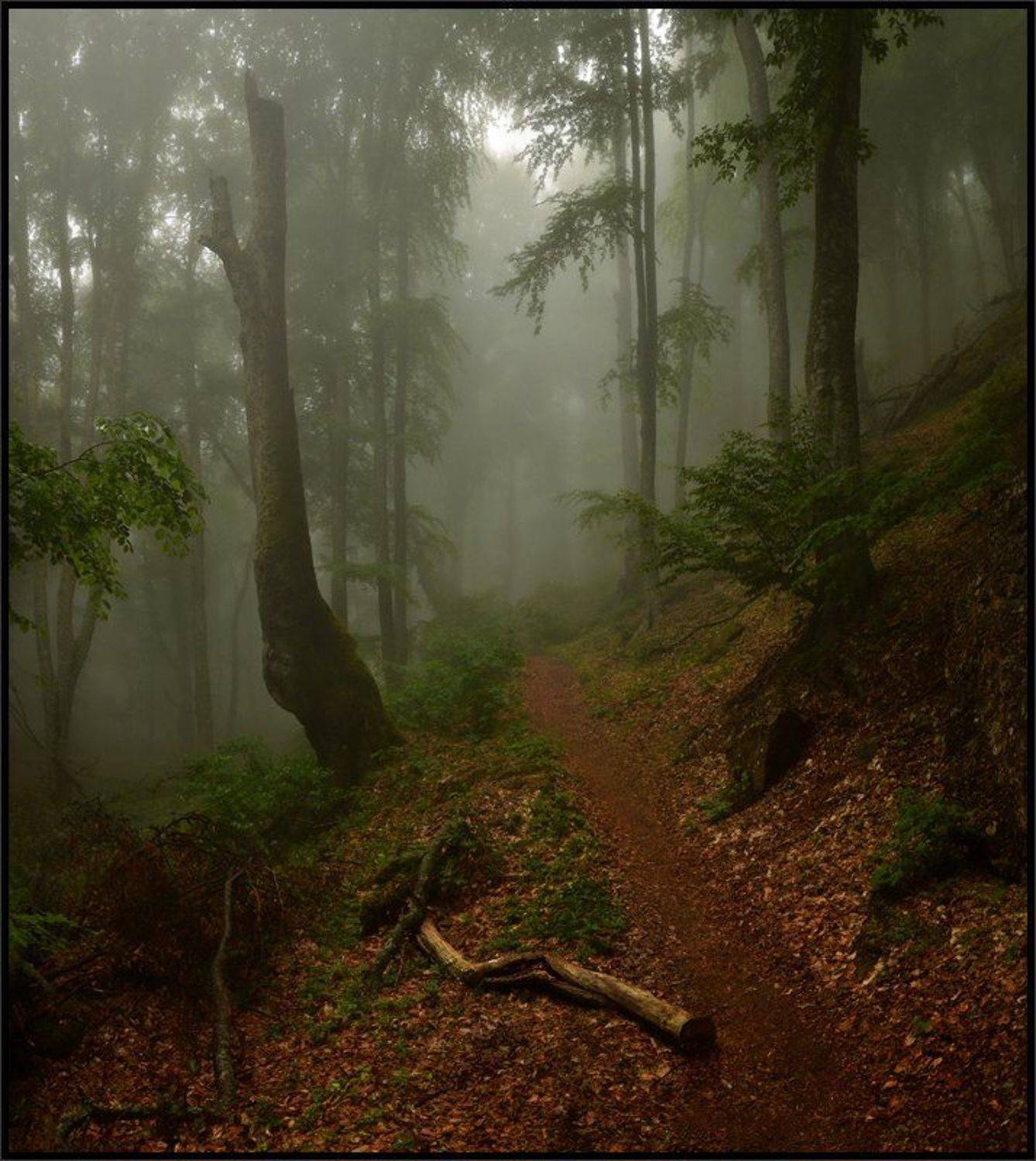 Автор: Владимир Метцгер , Владимир Метцгер