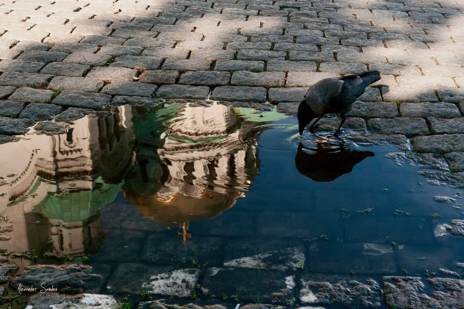 Пить из источника жизньи. Автор: Александър Сандев , Александър Сандев