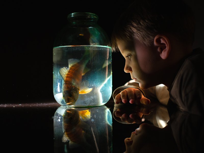 *** фото превью