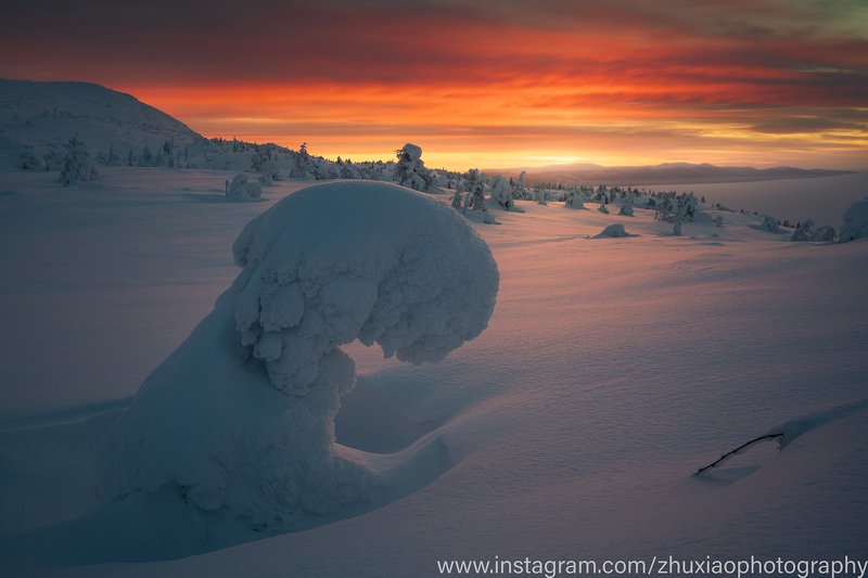 Утренний снежный монстрphoto preview