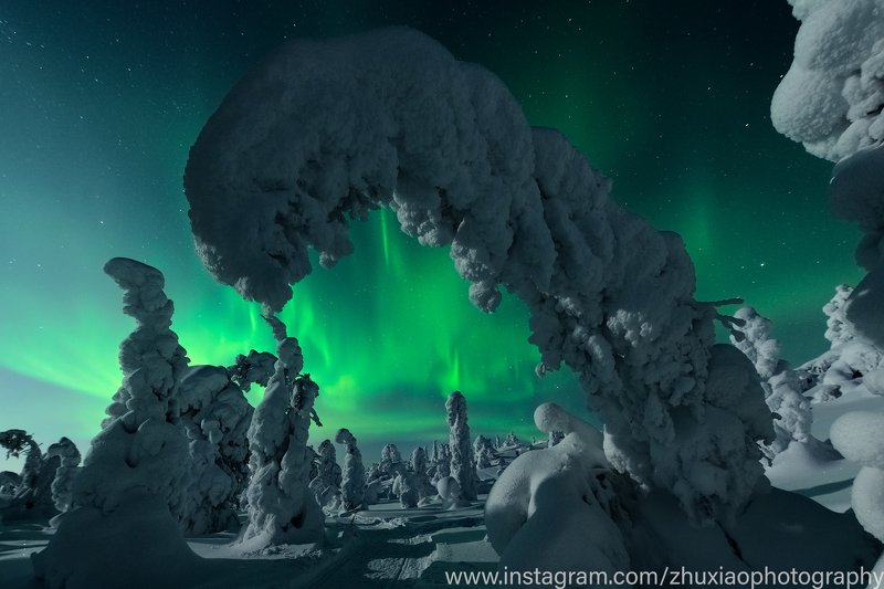 Вечерний лесphoto preview