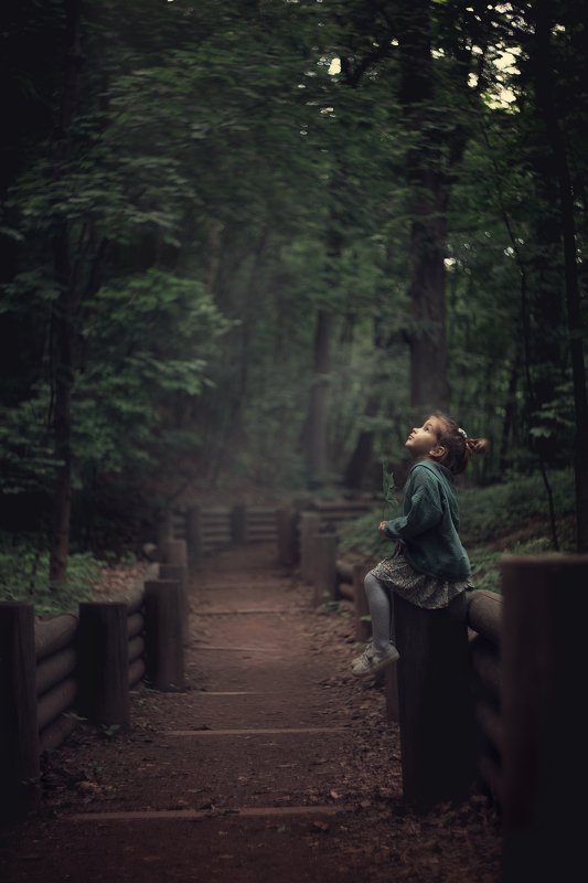 В лесуphoto preview