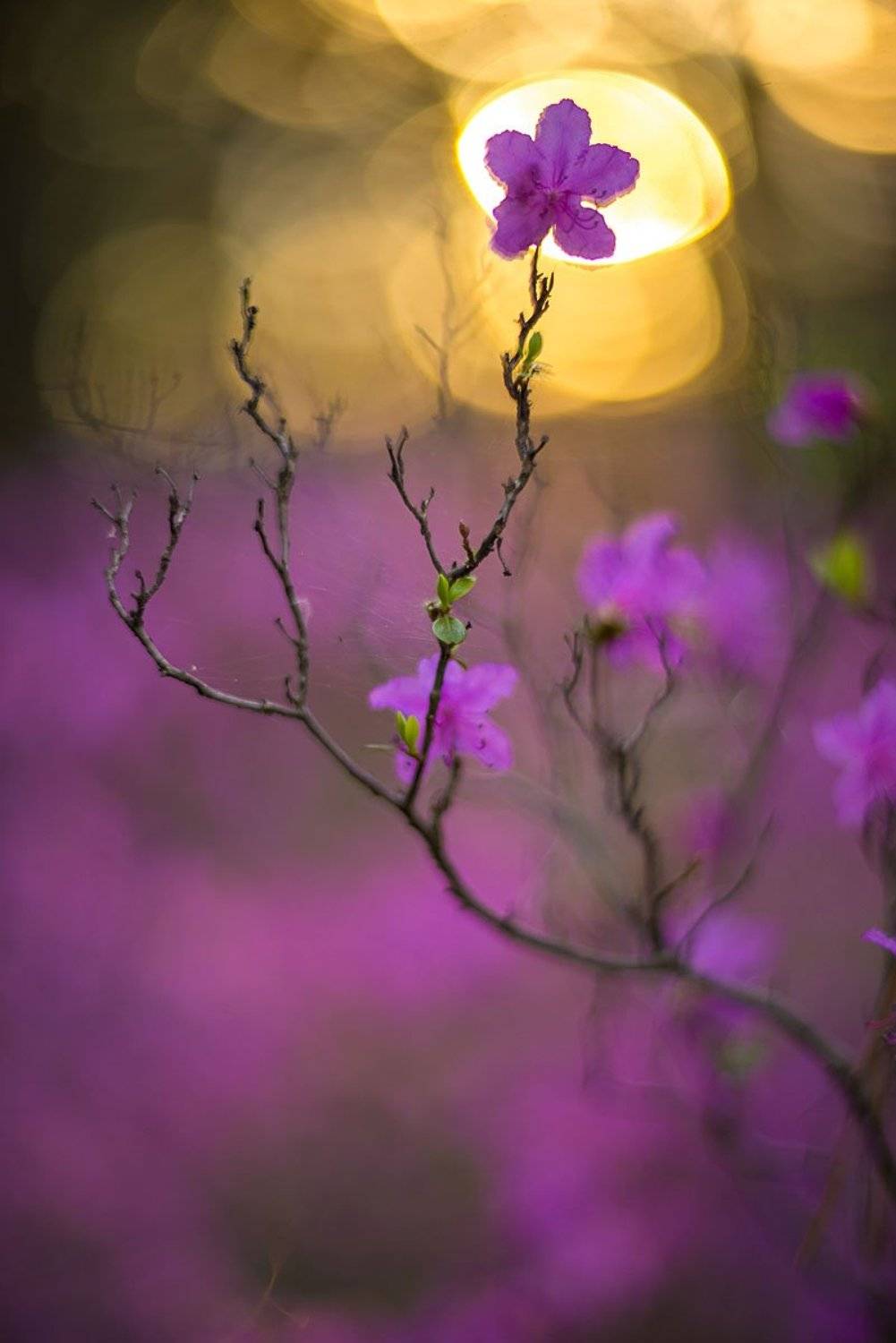 , Сергей Брагин