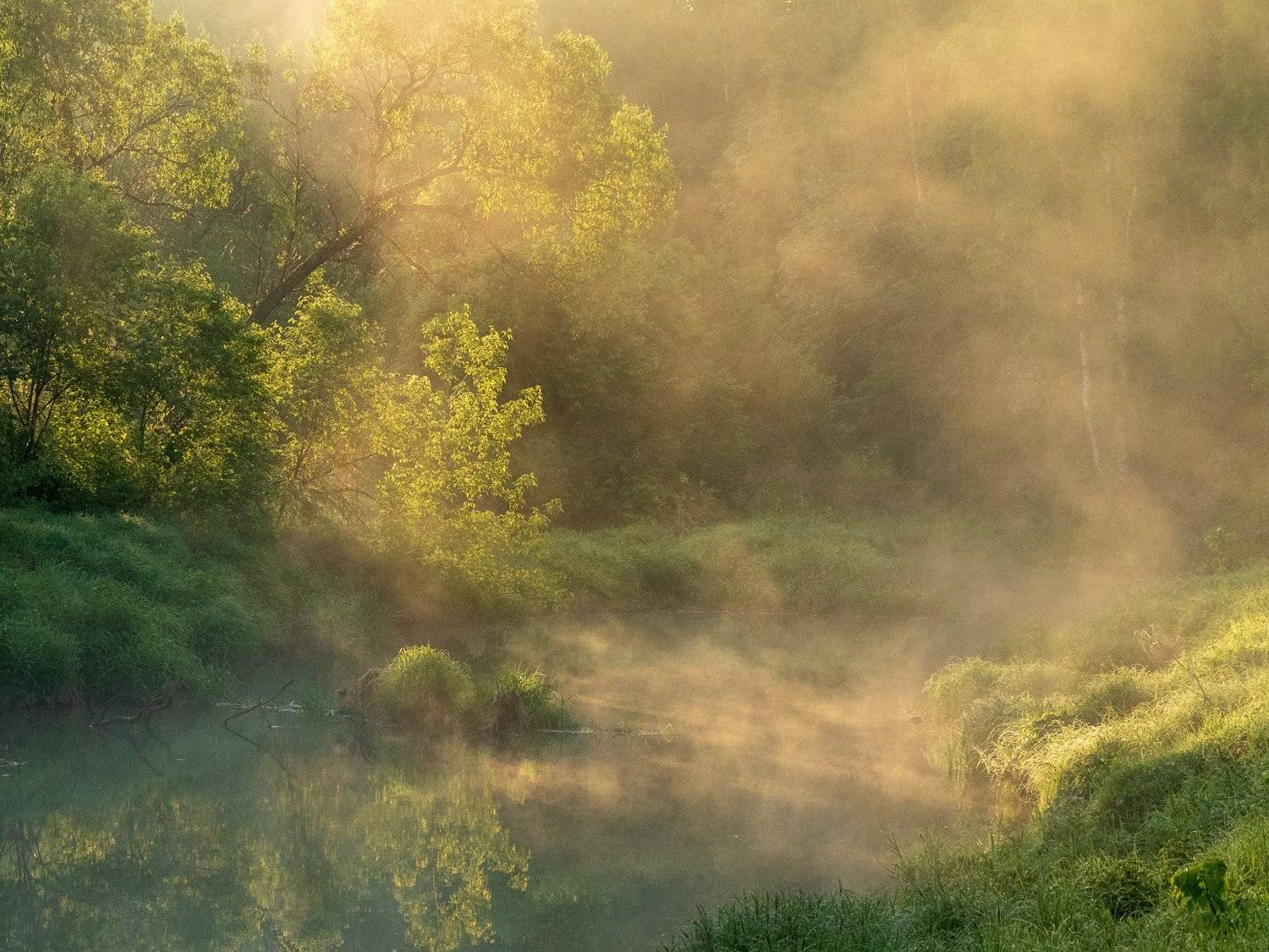 , Марина Брыдня