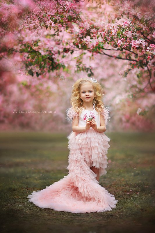 Весна в розовом садуphoto preview