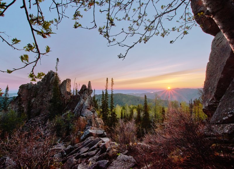 столбы, рассвет Первая листваphoto preview