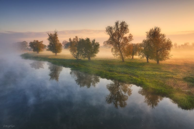morning, ner, morning, dawn, spring, fog, willow, trees, river, nature photo preview