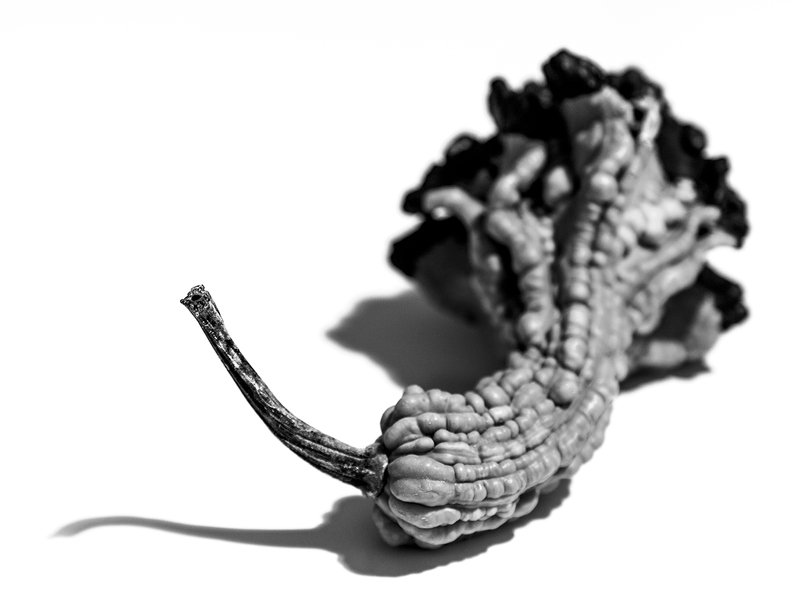 simone zeffiro hasselblad still life art fine art ---photo preview