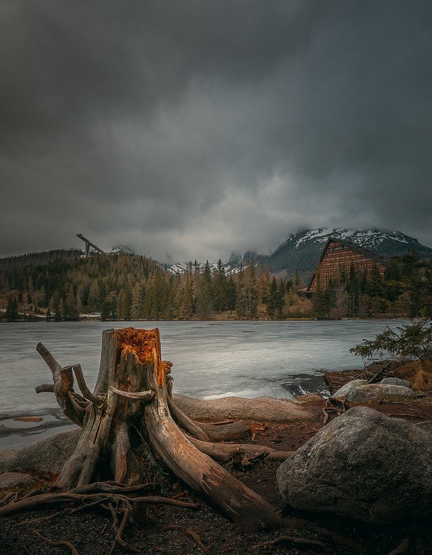 Известный пеньок)photo preview