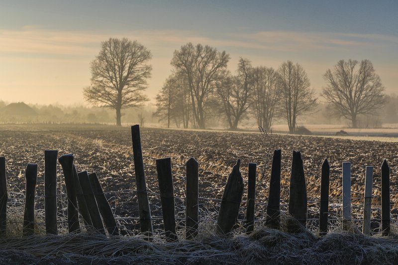 Wieliszewphoto preview