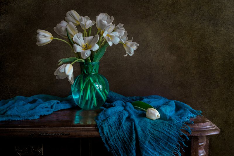 Белые тюльпаныphoto preview