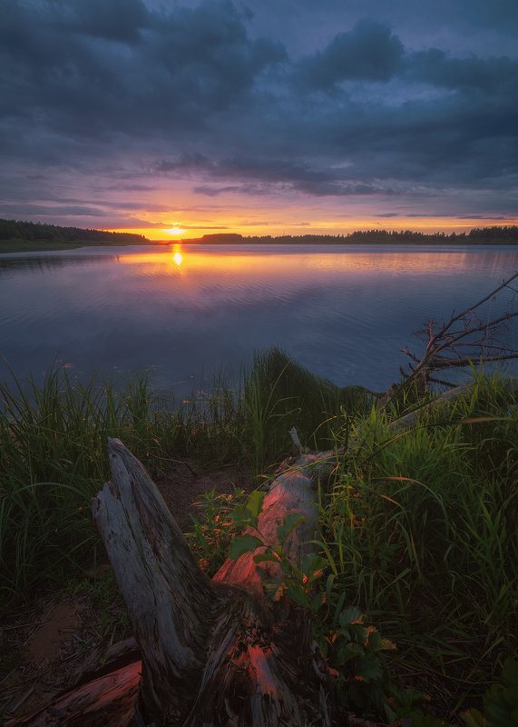 Свет надеждыphoto preview