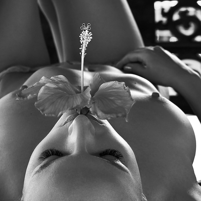barongclub, nude art, nude photography, nude, girl, muse, beauty, body, photography, nu Hibiscusphoto preview