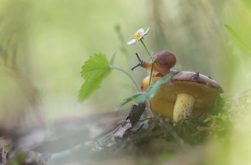 Утроphoto preview