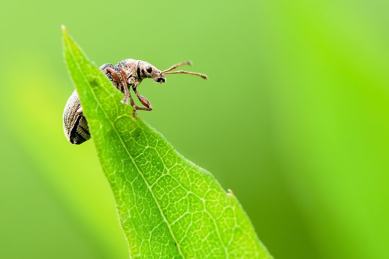 Улететь на небоphoto preview