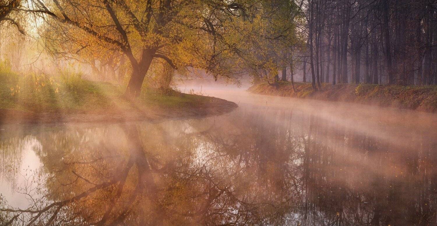 тула, тулица, баташевский сад, Сергей Кочергин