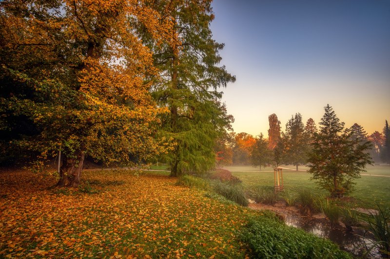 природа пейзаж вода туман утро рассвет осень небо солнце деревья отражения озеро парк photo preview