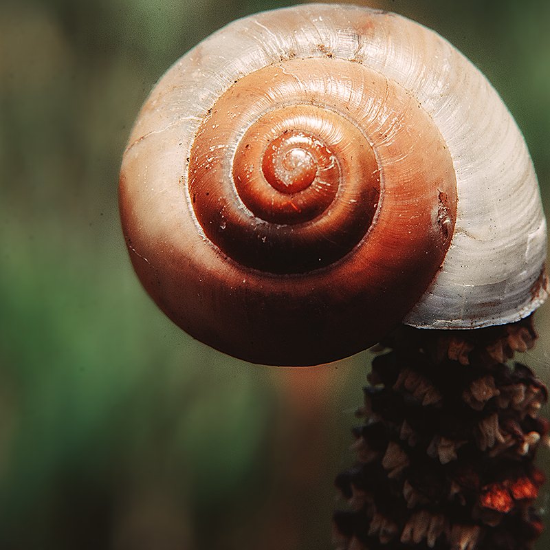 Спиральphoto preview