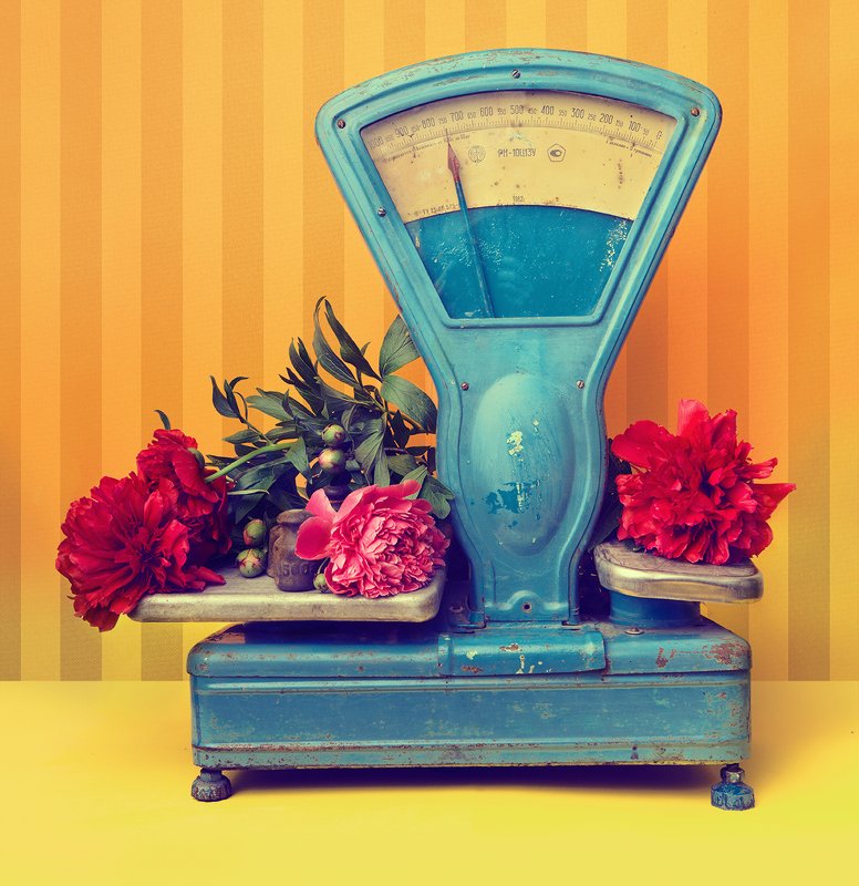 Projectphoto preview