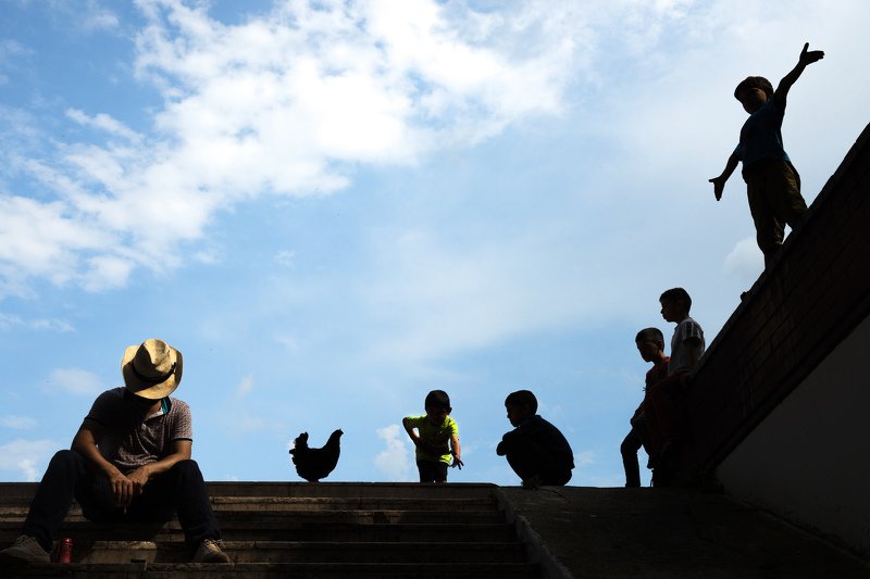 istanbul tavukphoto preview