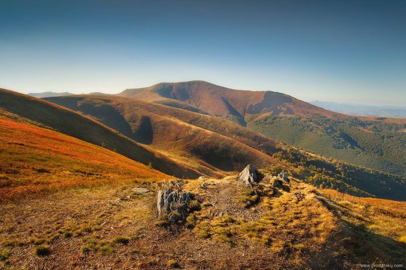 карпаты, горы, плюш, великий верх С видом на Великий Верхphoto preview