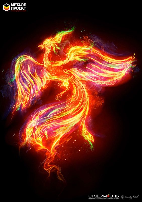 июль., жар-птица. photo preview