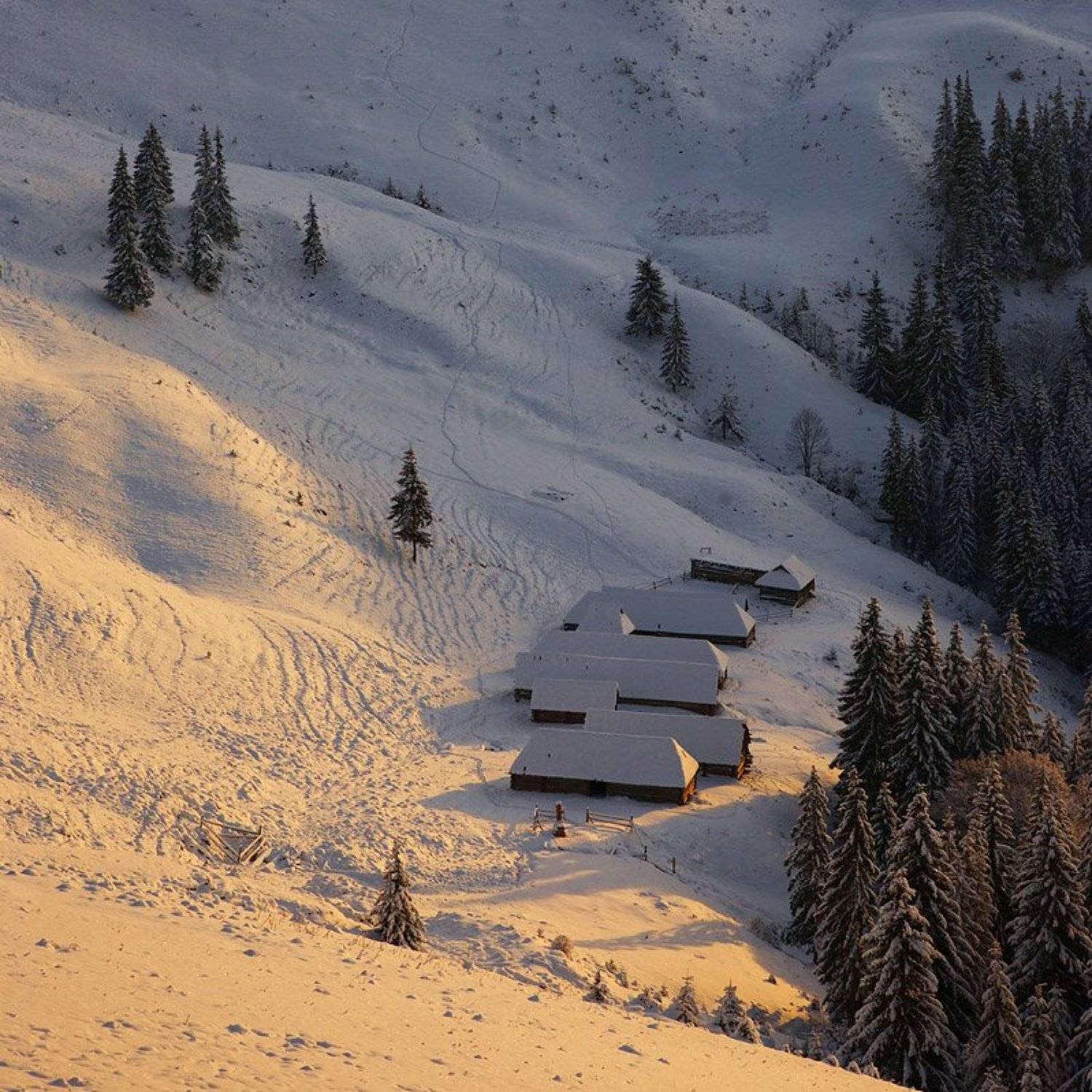 колыбки.... Автор: Тарас карпаты, колыбы,, Тарас