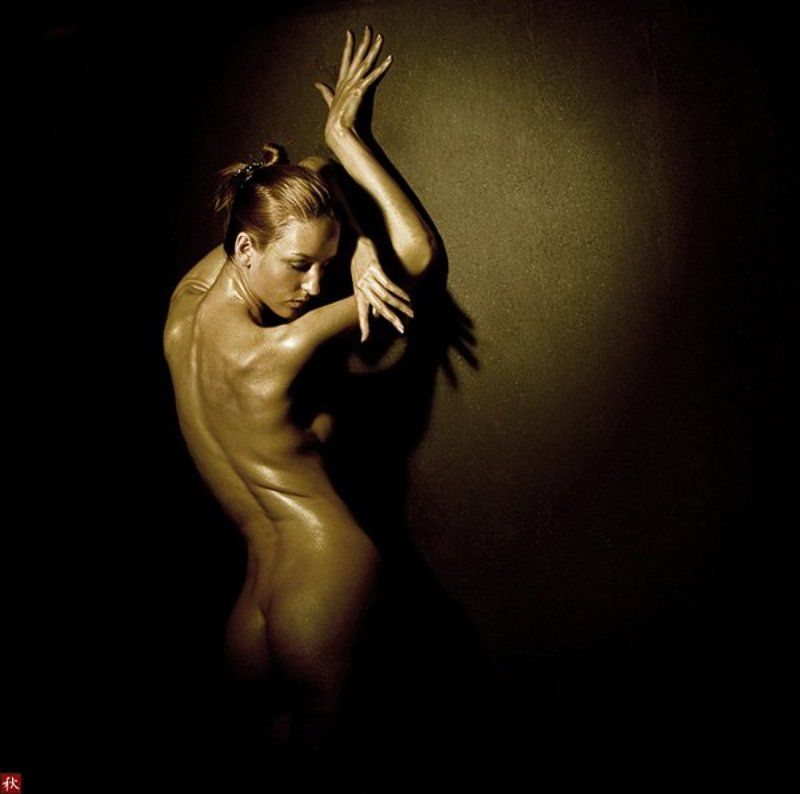 Salamanderphoto preview