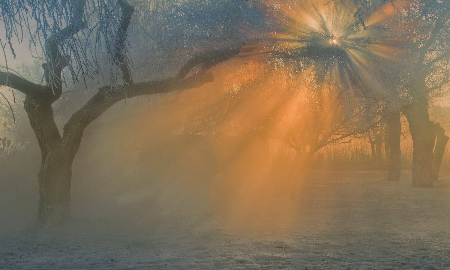 город, парк, зима река кубань, ФЁДОР