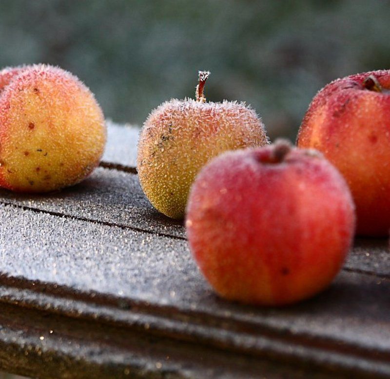 Один шаг до зимы...photo preview