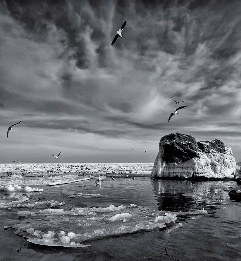 , Сергей Дымченко