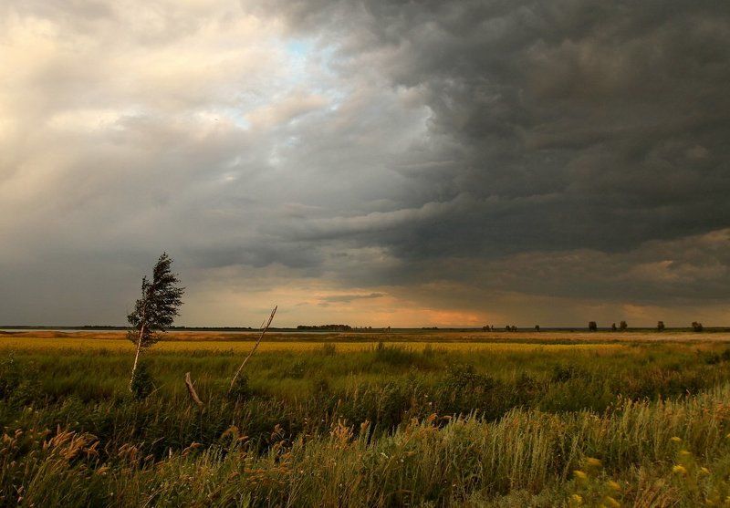 Перед грозойphoto preview