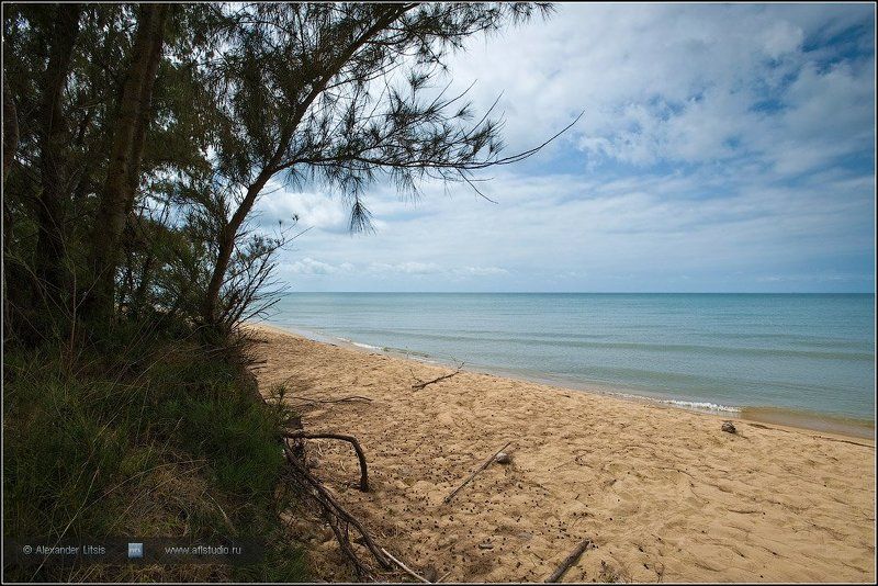 тропики, пляж, море, песок На диком неухоженном пляжеphoto preview