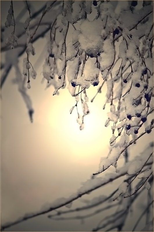 зима Зимняя пастель.photo preview