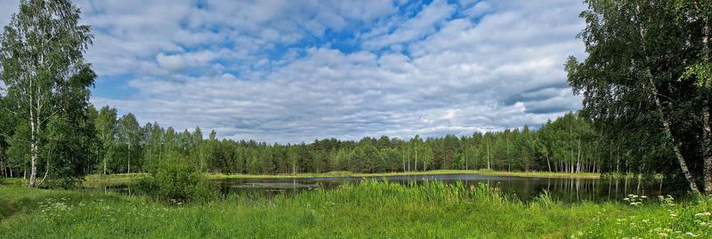 Лесное озероphoto preview