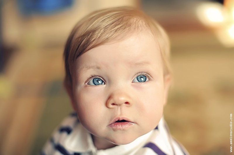 софия Софияphoto preview