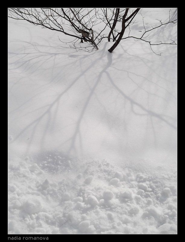 зима, снег, тень, чб porcelainphoto preview