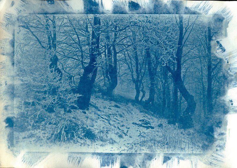 Carpathian talesphoto preview