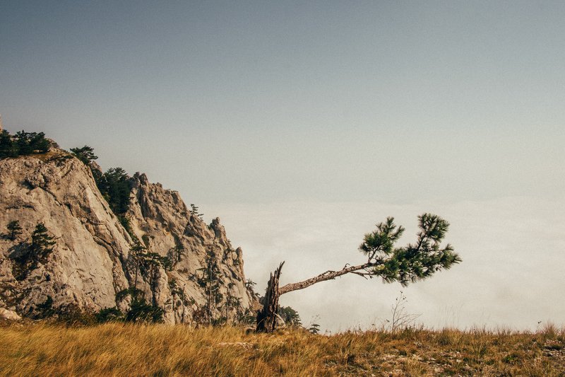 крым, горы, облака Ай-Петриphoto preview