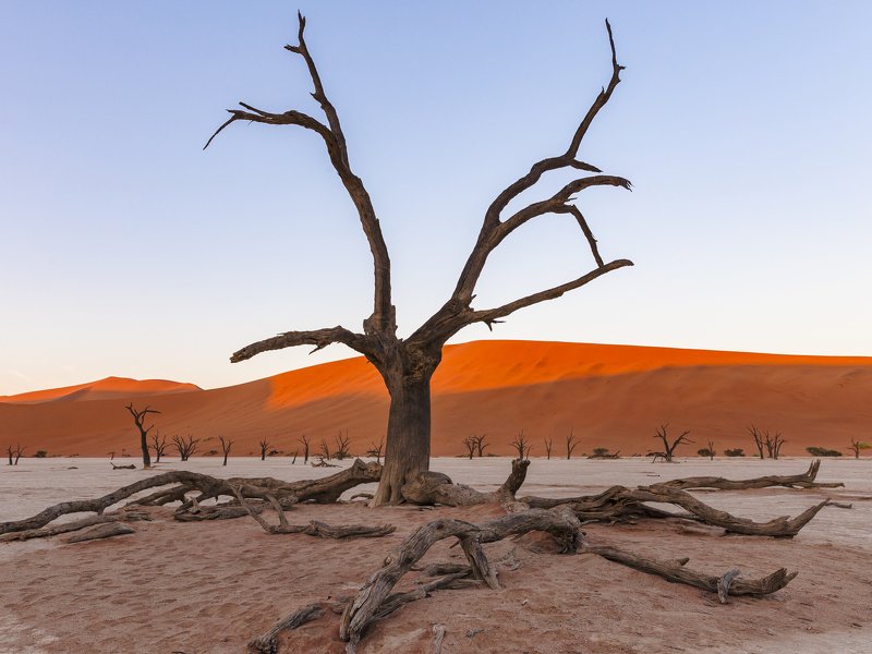 desert Namibia Deadvlei фото превью