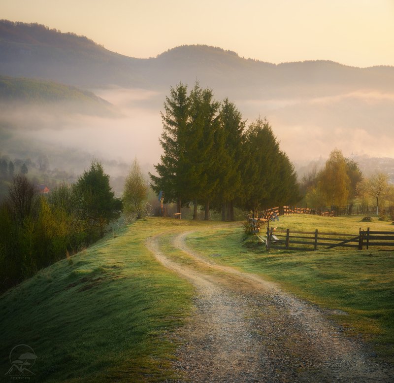 Румынские дорожкиphoto preview