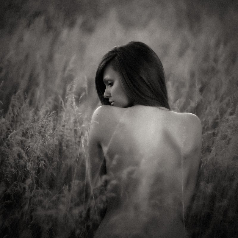 The wild flowerphoto preview