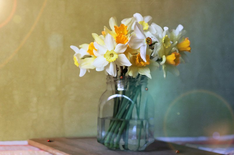 нарциссыphoto preview