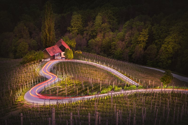 heart, road, slovenia, austria, spicnik, špičnik, vineyards, winery The road of lovephoto preview